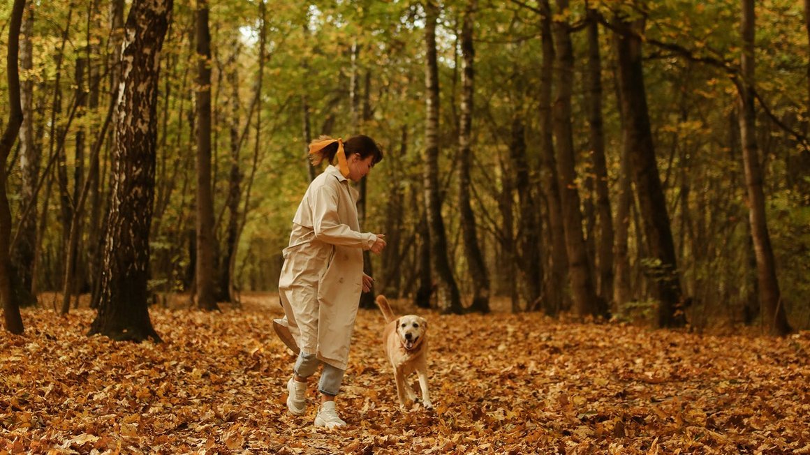 Frau spielt mit Hund im Wald