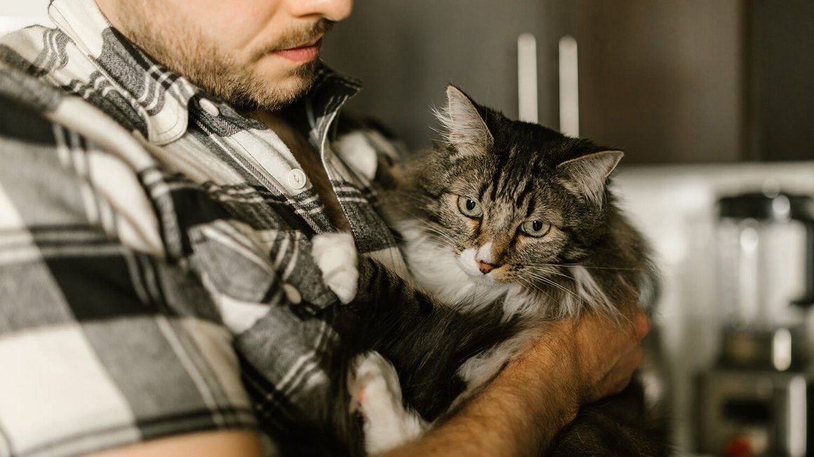 Homme tenant un chat dans les bras - assurance maladie pour chats